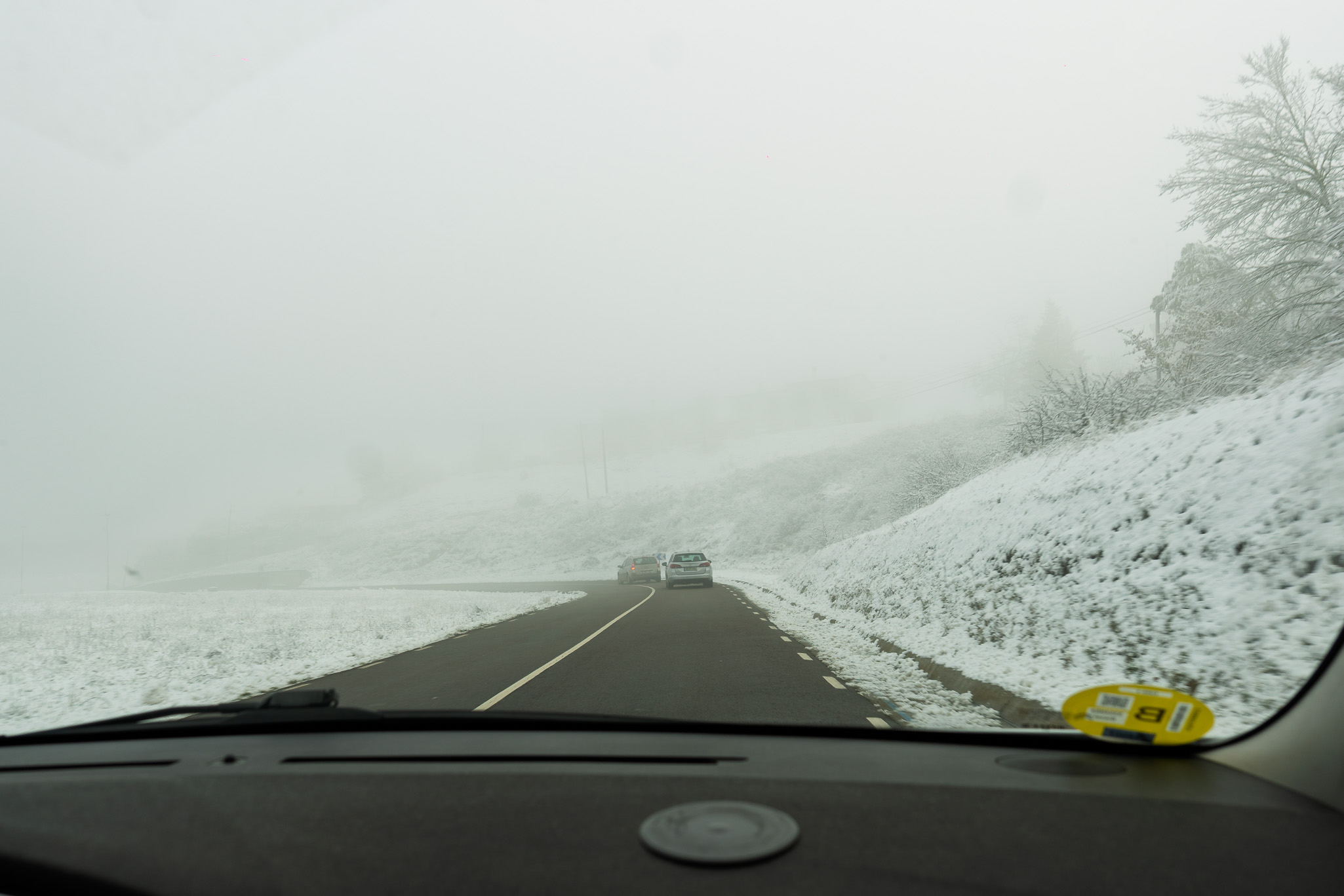 Niebla 20260125 0028